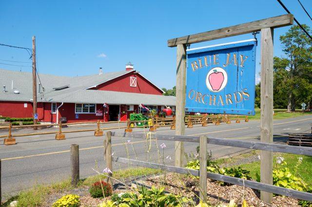 Plan your perfect fall outing with a visit to Blue Jay Orchards and its seasonal wonders.