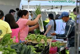 Exploring Danbury’s Local Farms: A Journey Through Agriculture and Community