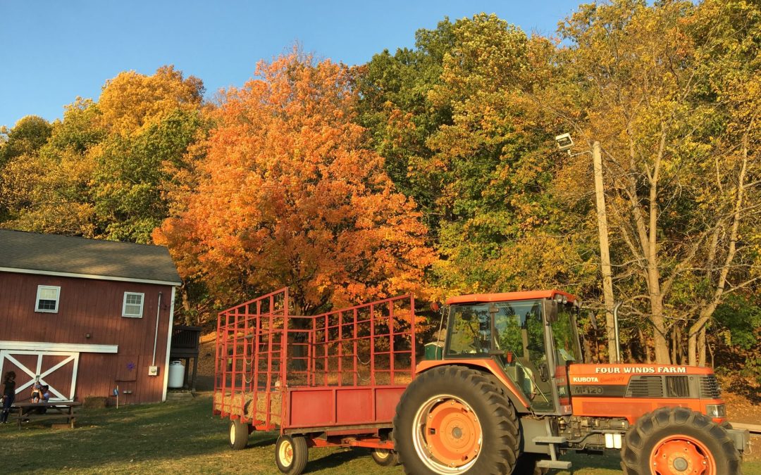 Introduction and Overview of Danbury, CT in Fall