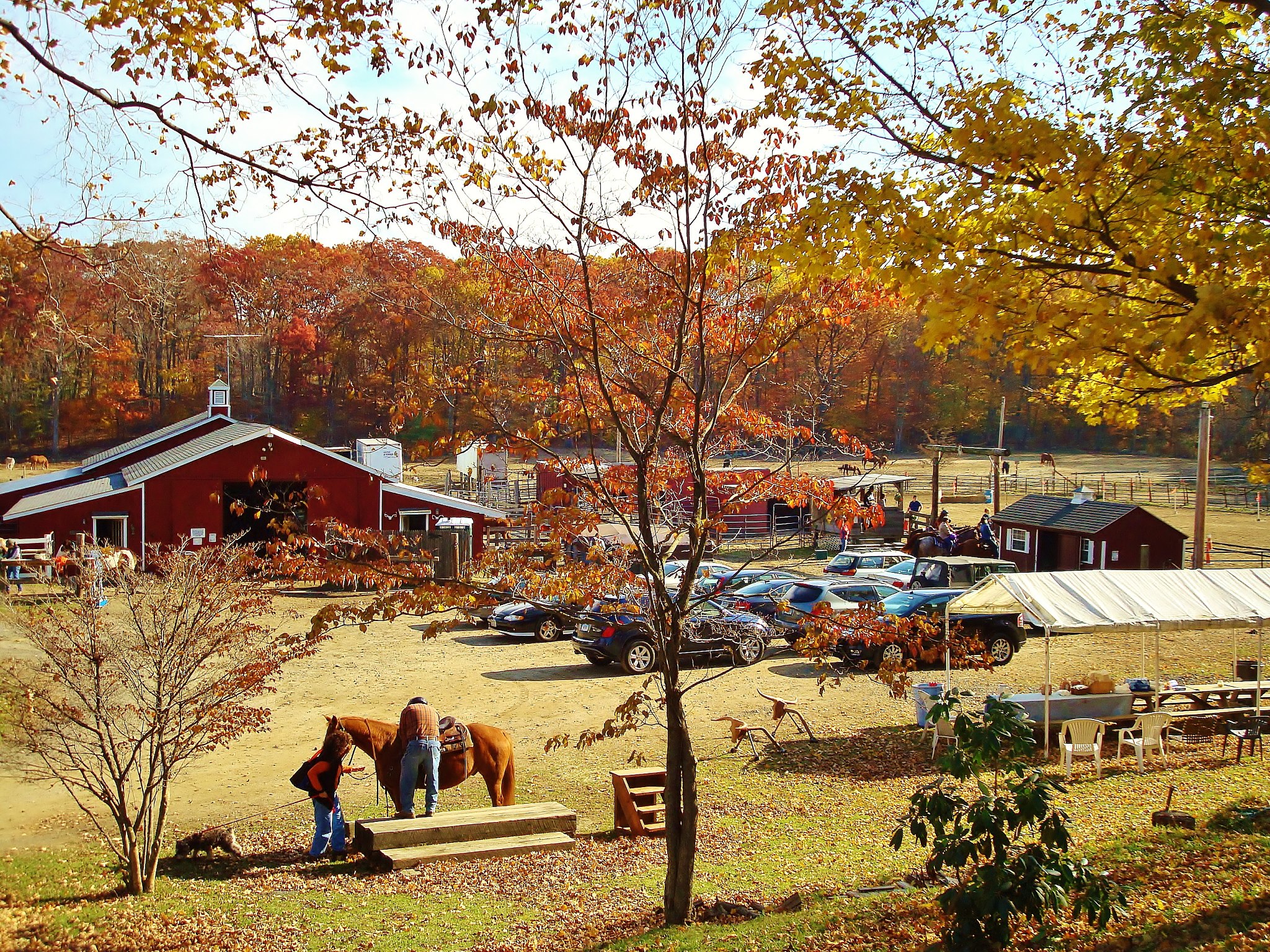 Happy Trails in Danbury, CT: Your Go-To for Outdoor Fun